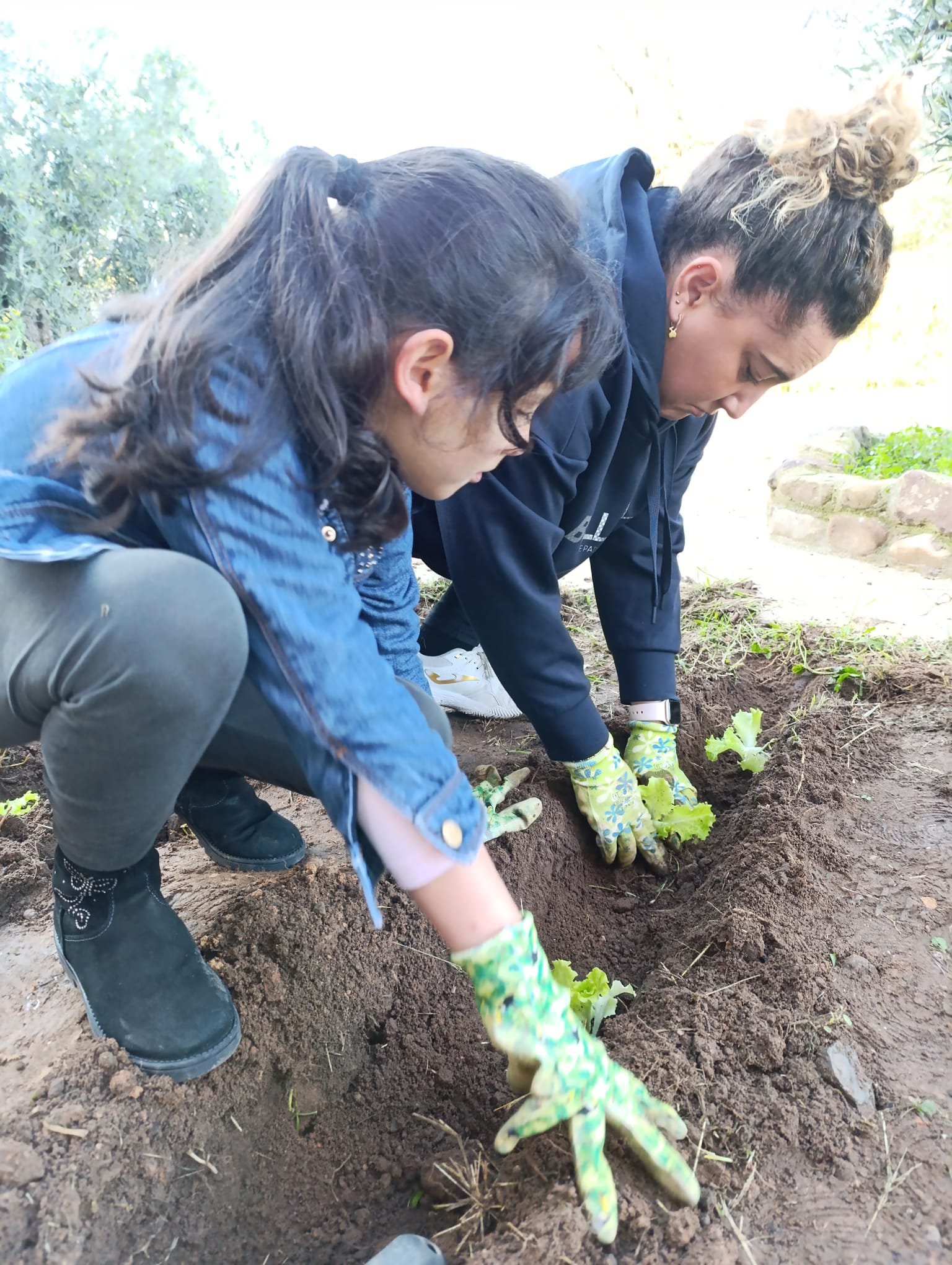 nuestro_huerto_11_20250215_1321707148.jpg