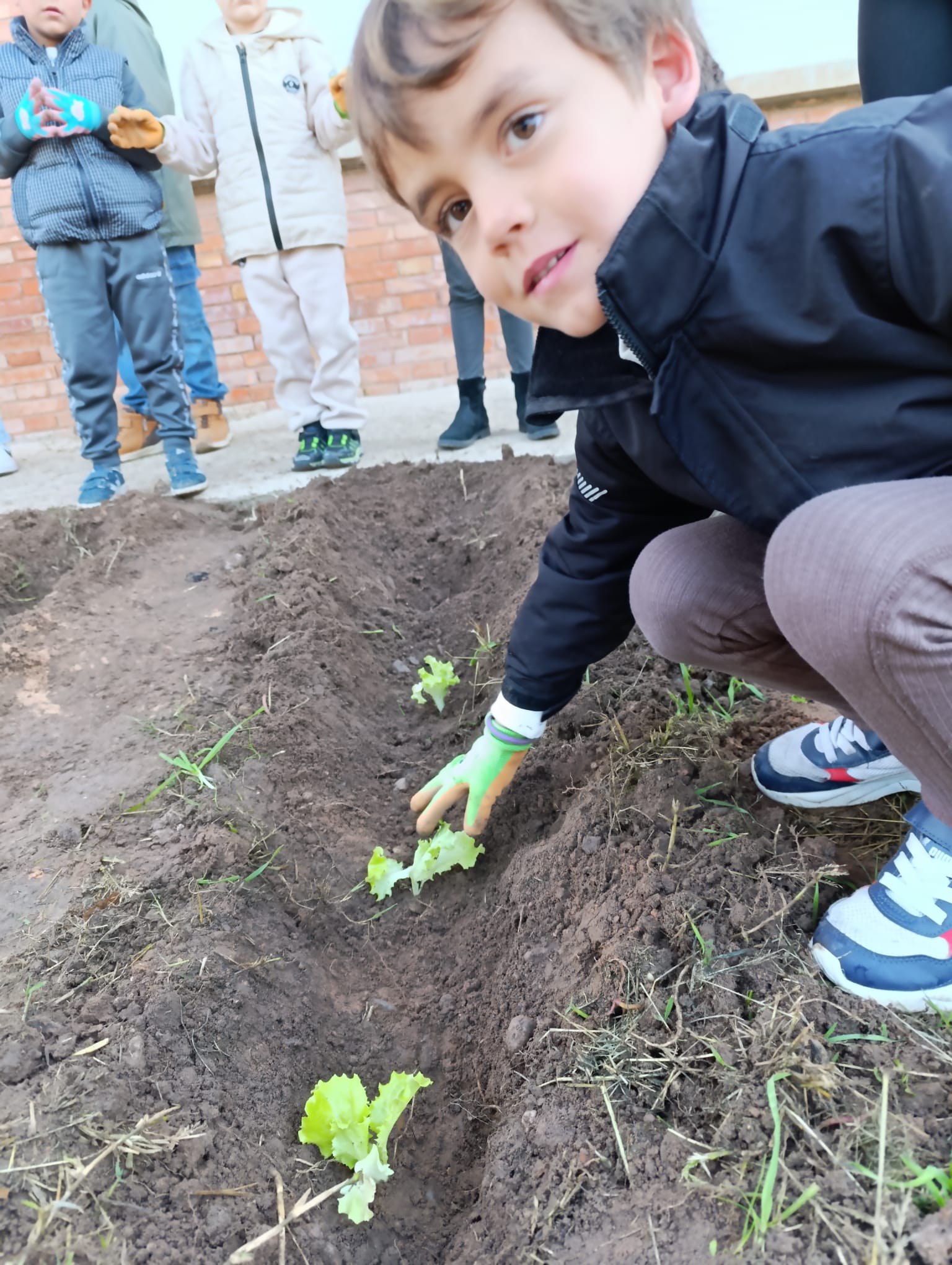 nuestro_huerto_12_20250215_1411945212.jpg