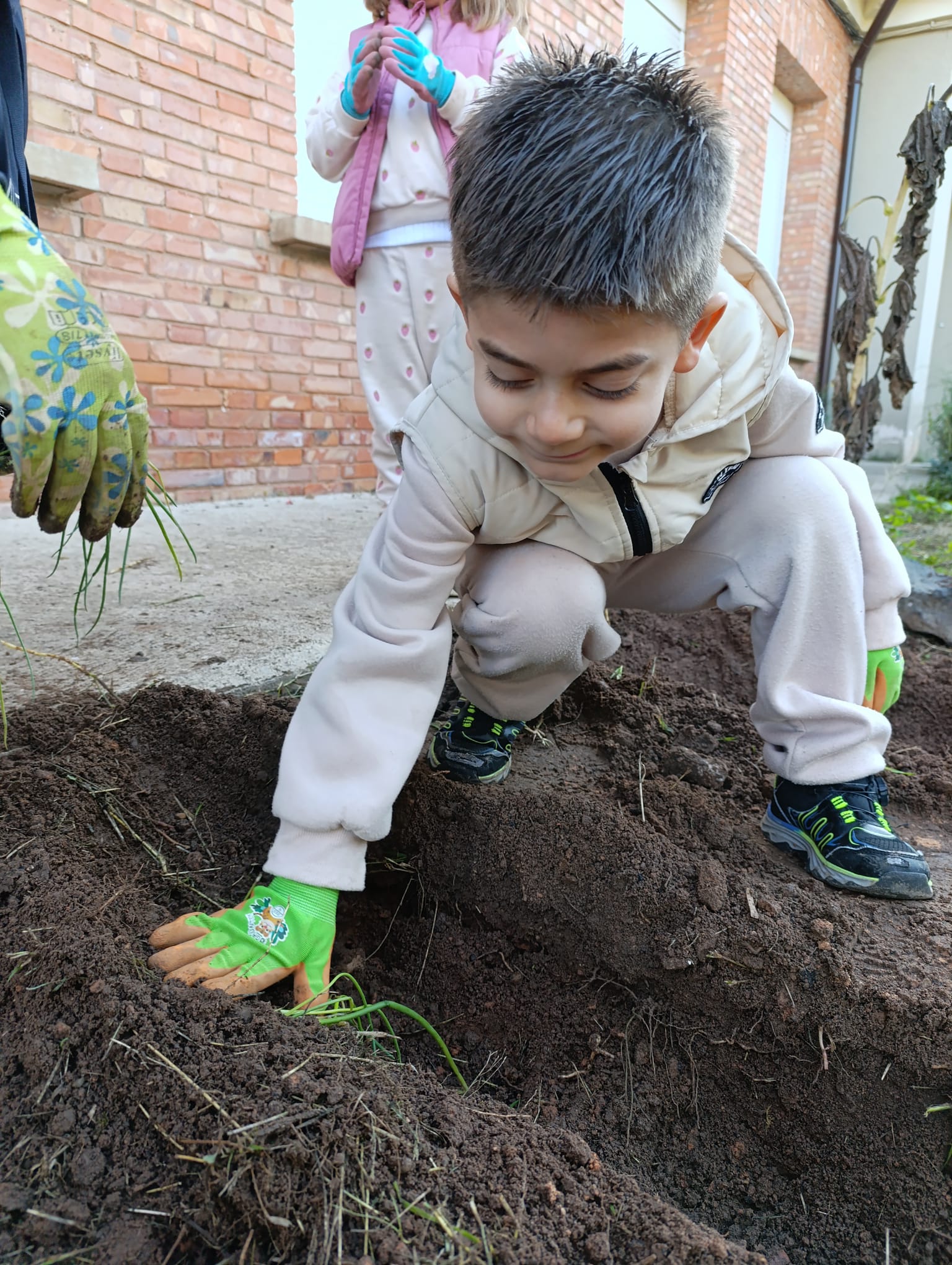 nuestro_huerto_14_20250215_1368129373.jpg