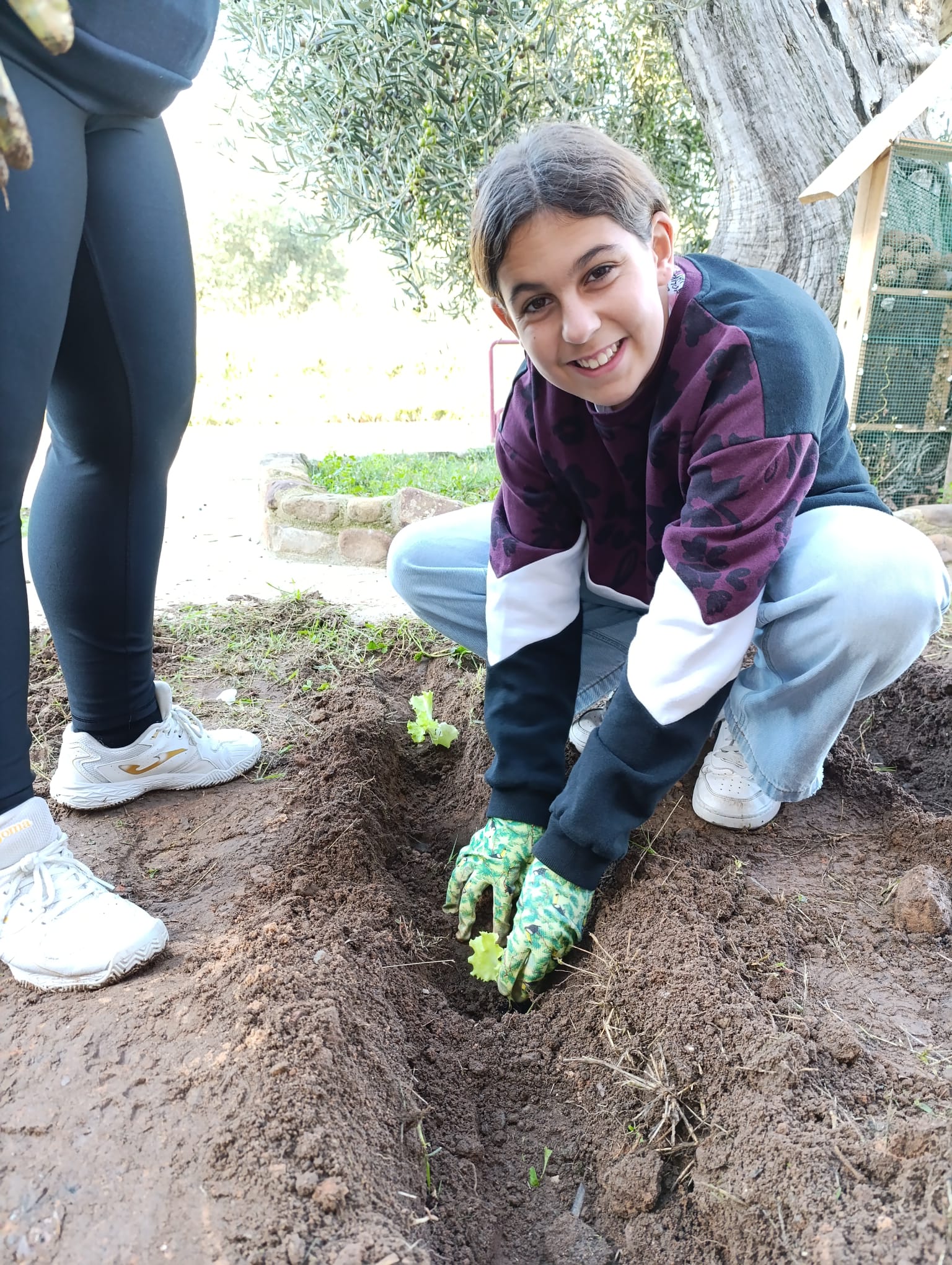 nuestro_huerto_17_20250215_2060931138.jpg