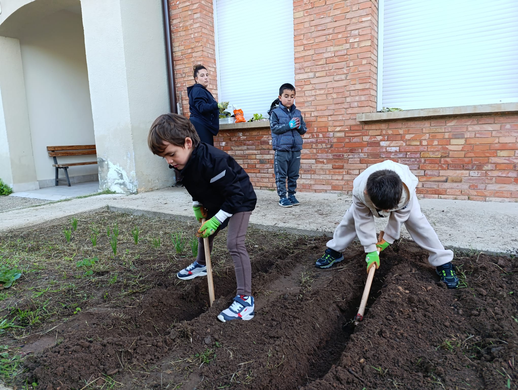 nuestro_huerto_2_20250215_1239227020.jpg