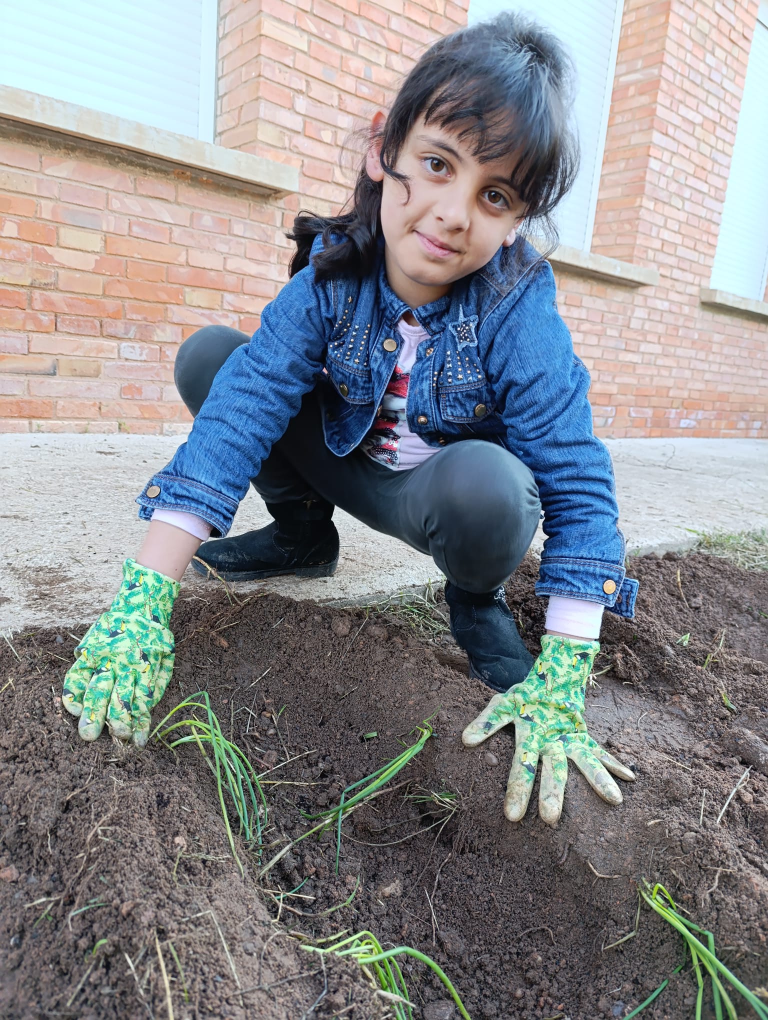 nuestro_huerto_5_20250215_1631106793.jpg