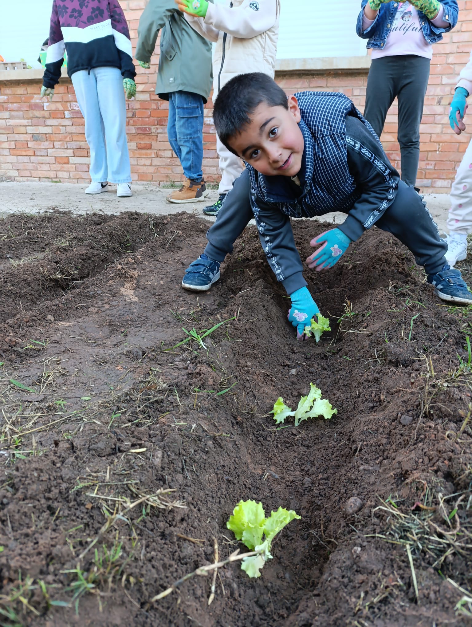 nuestro_huerto_7_20250215_1280811865.jpg