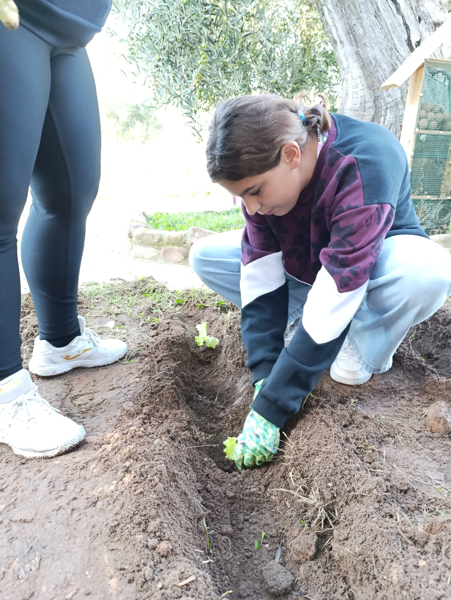 nuestro_huerto_8_20250215_1003017471.jpg