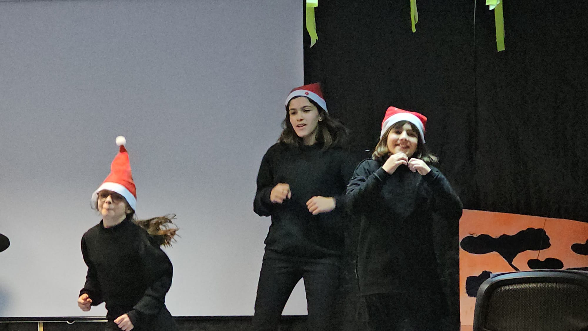 festivales_de_navidad_2024_24_20250109_1650155288.jpg