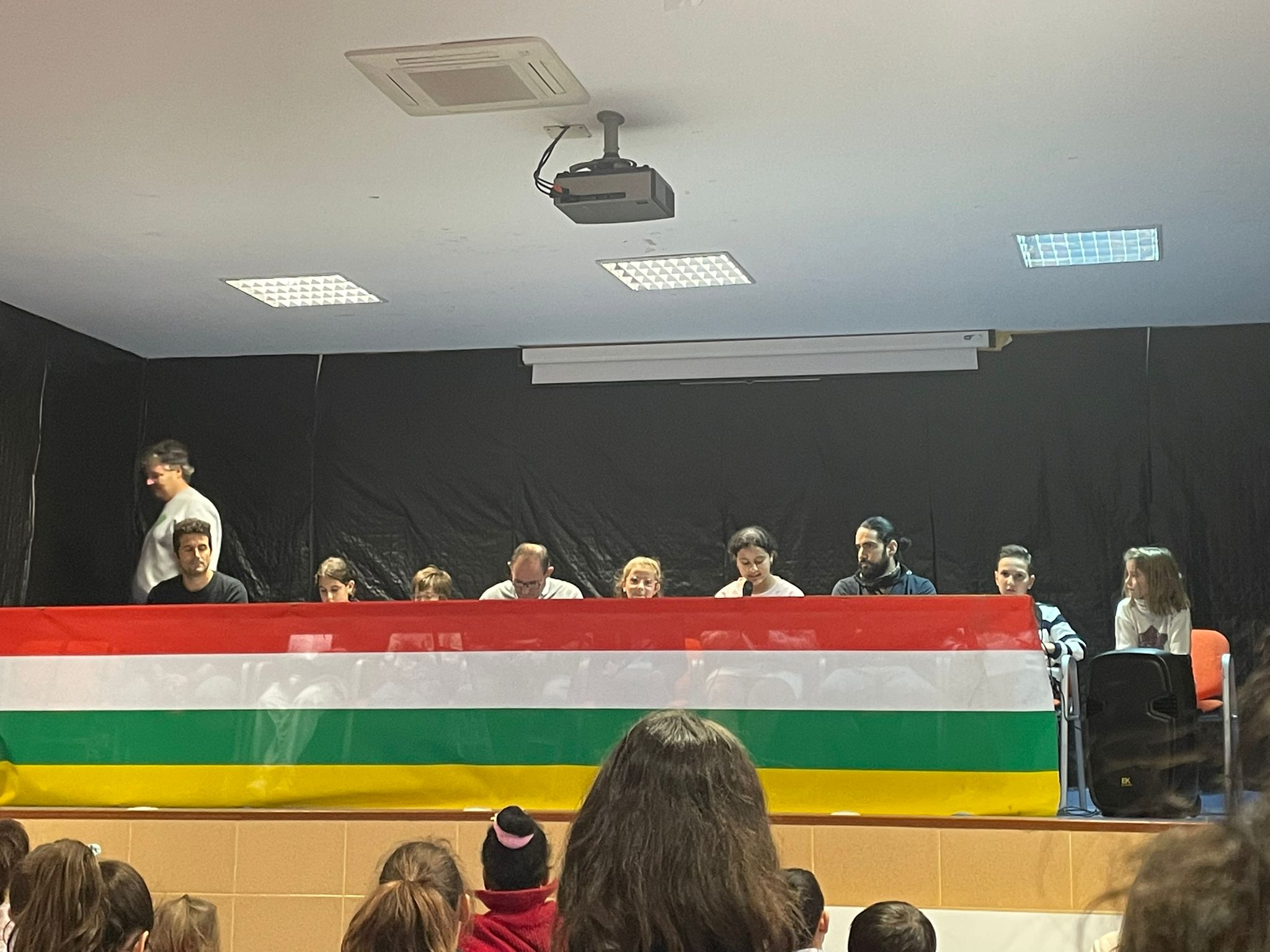 constitucion_2024_1_20241209_1725288213.jpeg