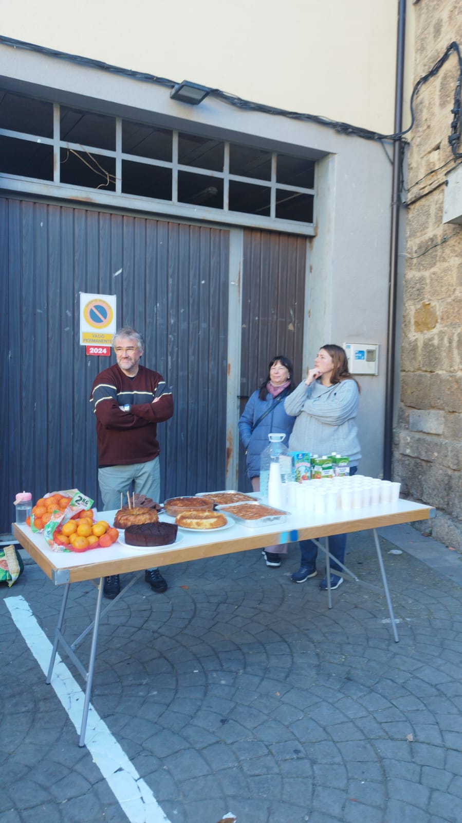 constitucion_2024_24_20241209_1507365433.jpeg