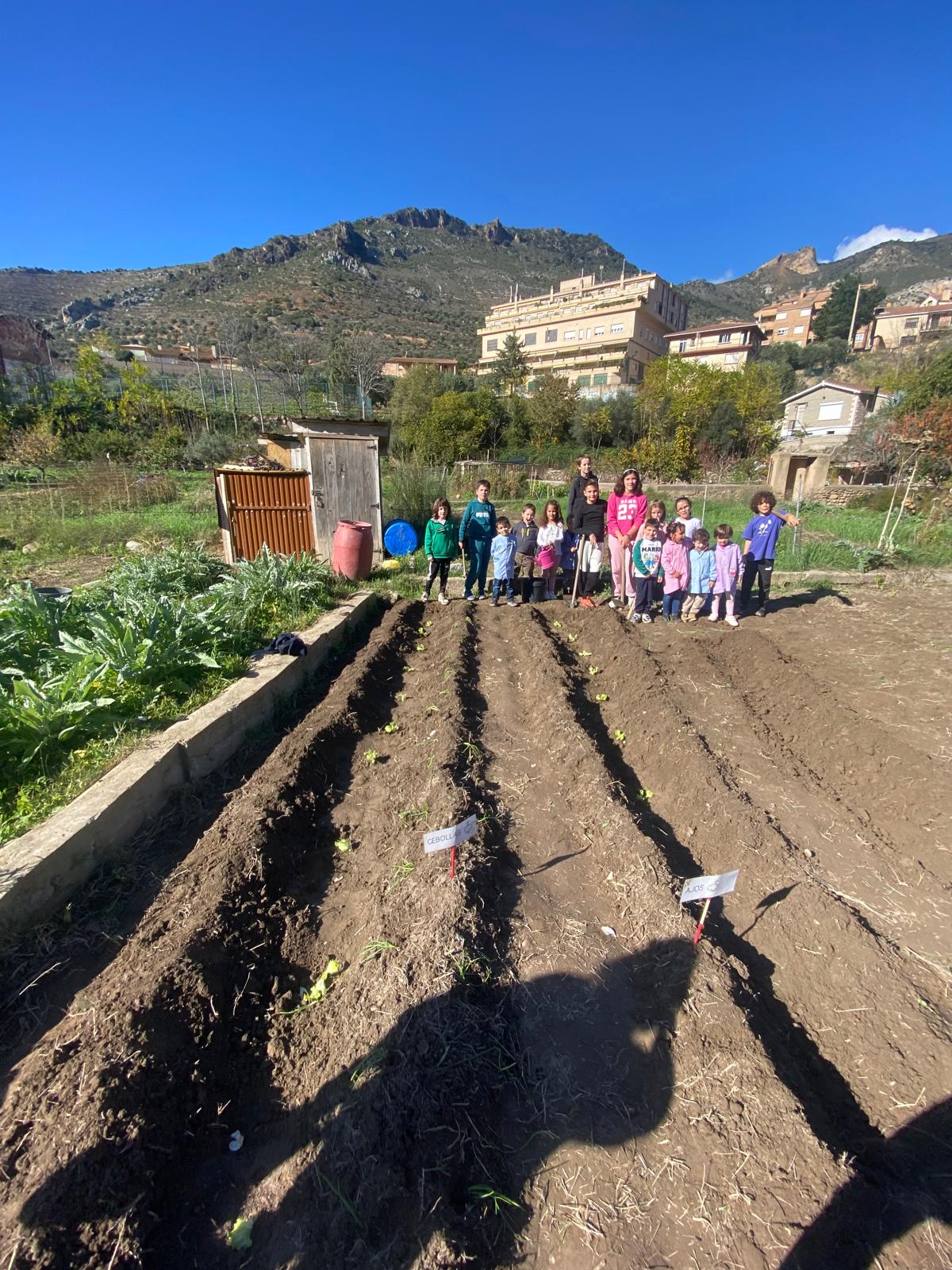 huerto_arnedillo_24_2_20241129_1803741834.jpeg