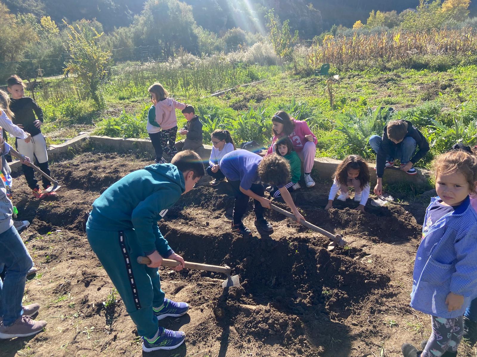 huerto_arnedillo_24_5_20241129_1649702354.jpeg