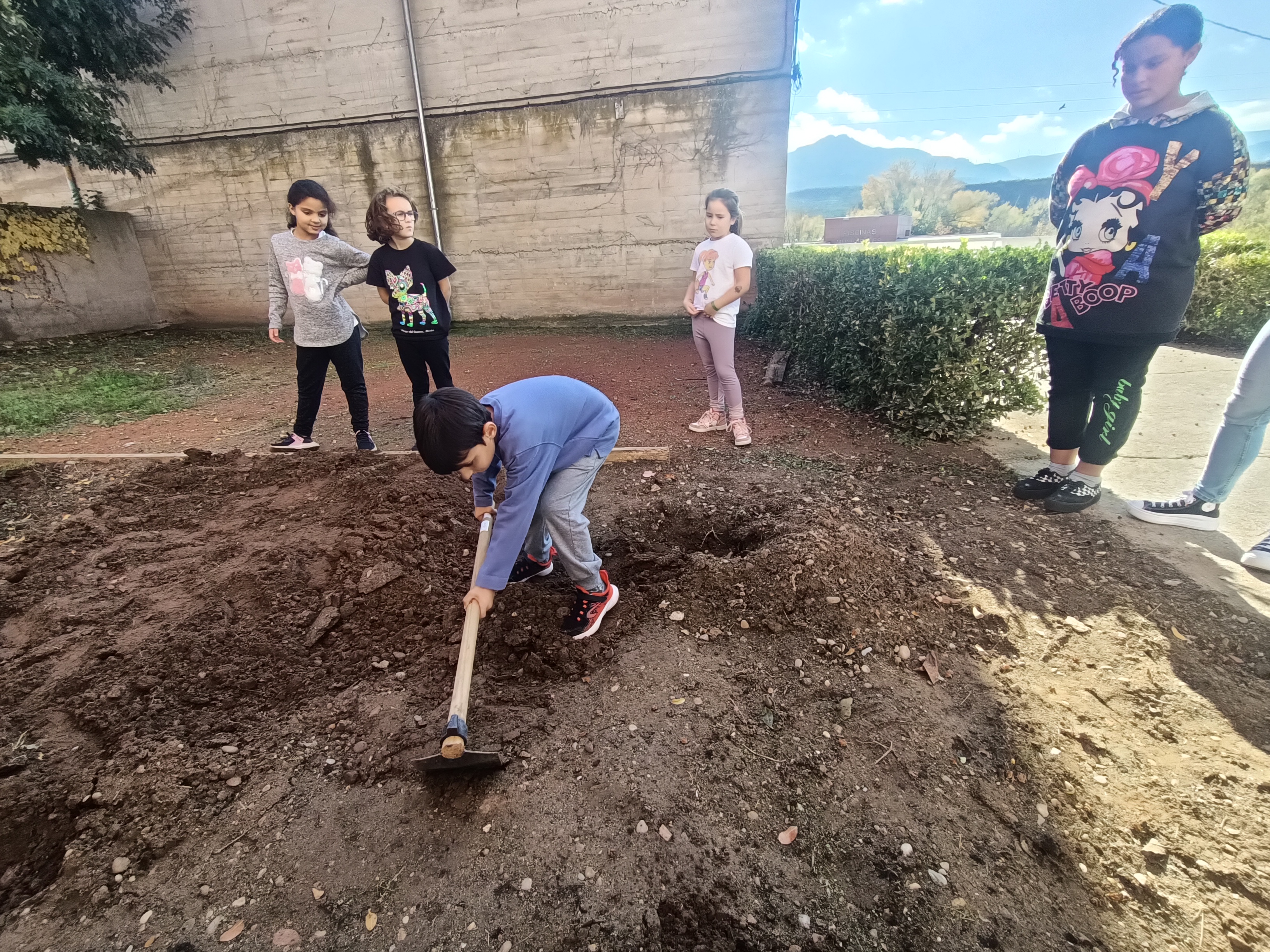 el_huerto_ya_esta_en_marcha_10_20241108_2047660410.jpg