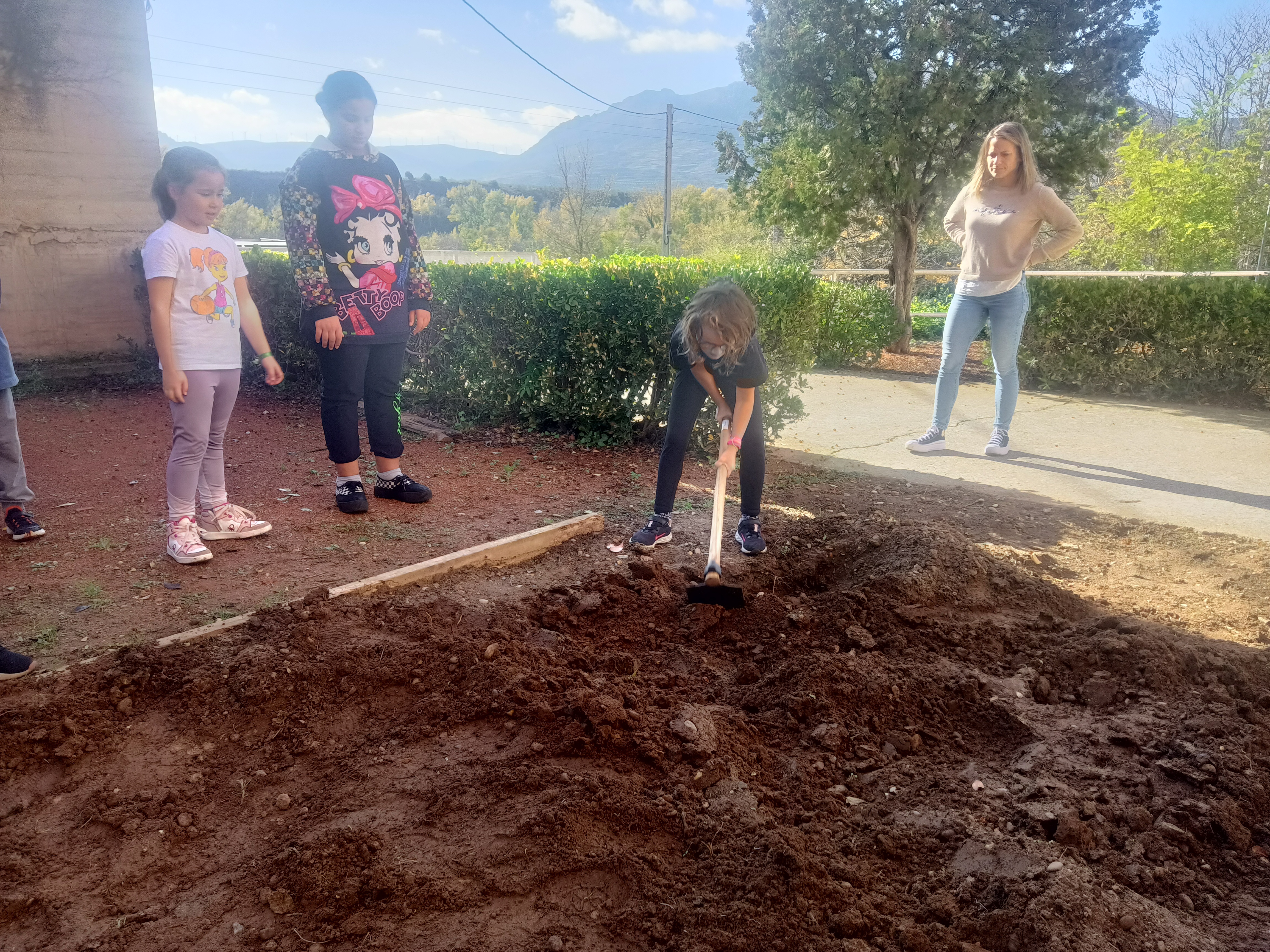 el_huerto_ya_esta_en_marcha_3_20241108_1092443794.jpg