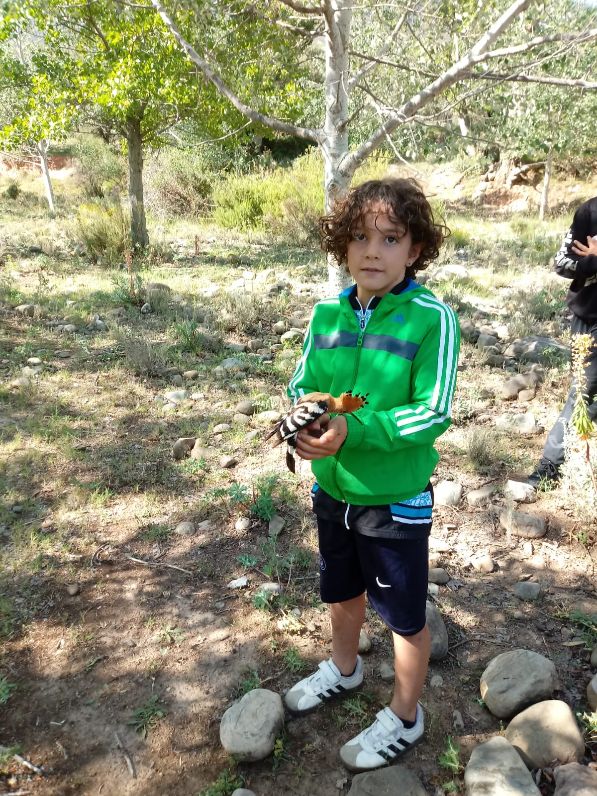 visita_ornitologo_16_20240619_1787945370.jpeg