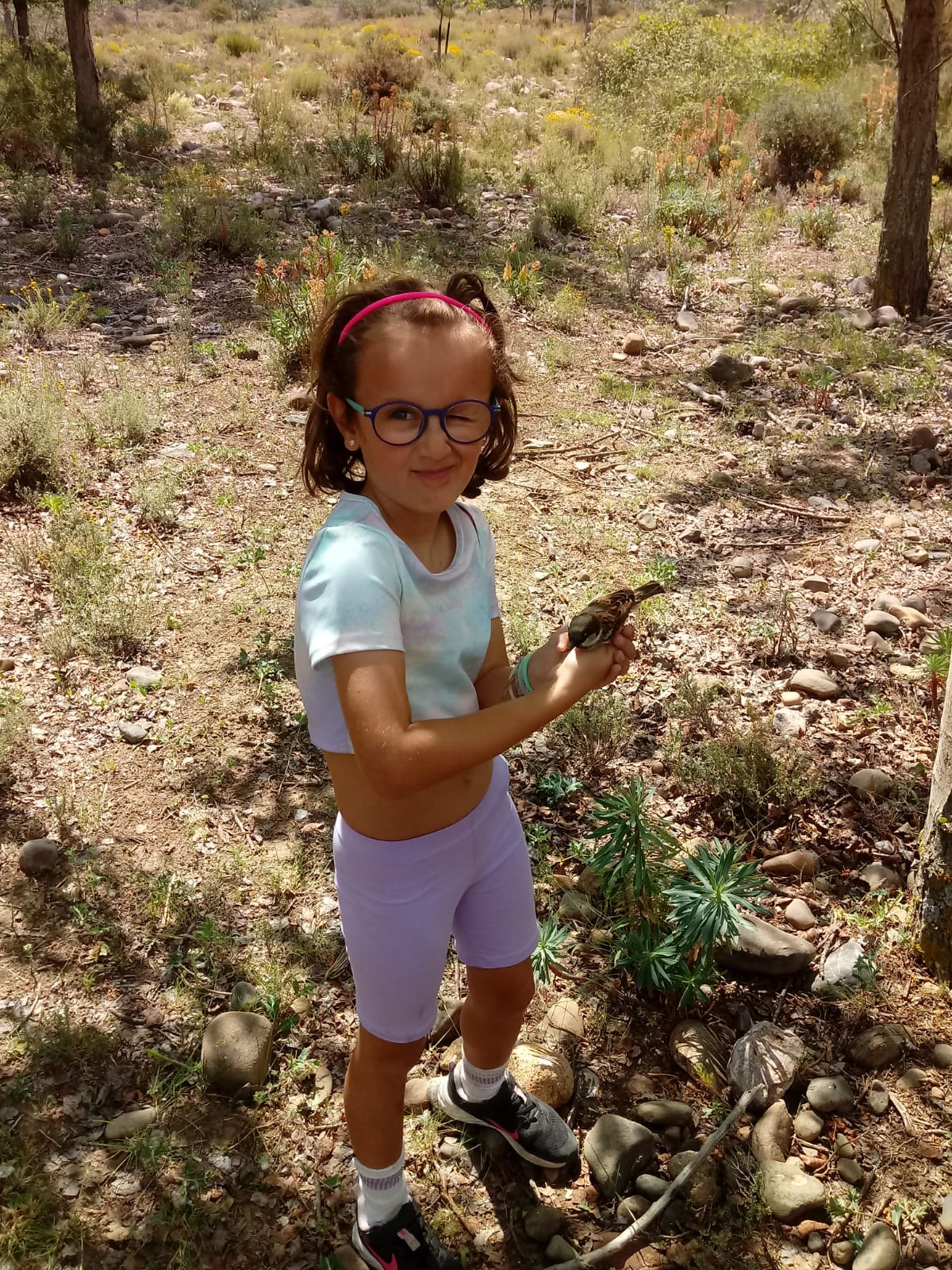 visita_ornitologo_34_20240619_1249942688.jpeg