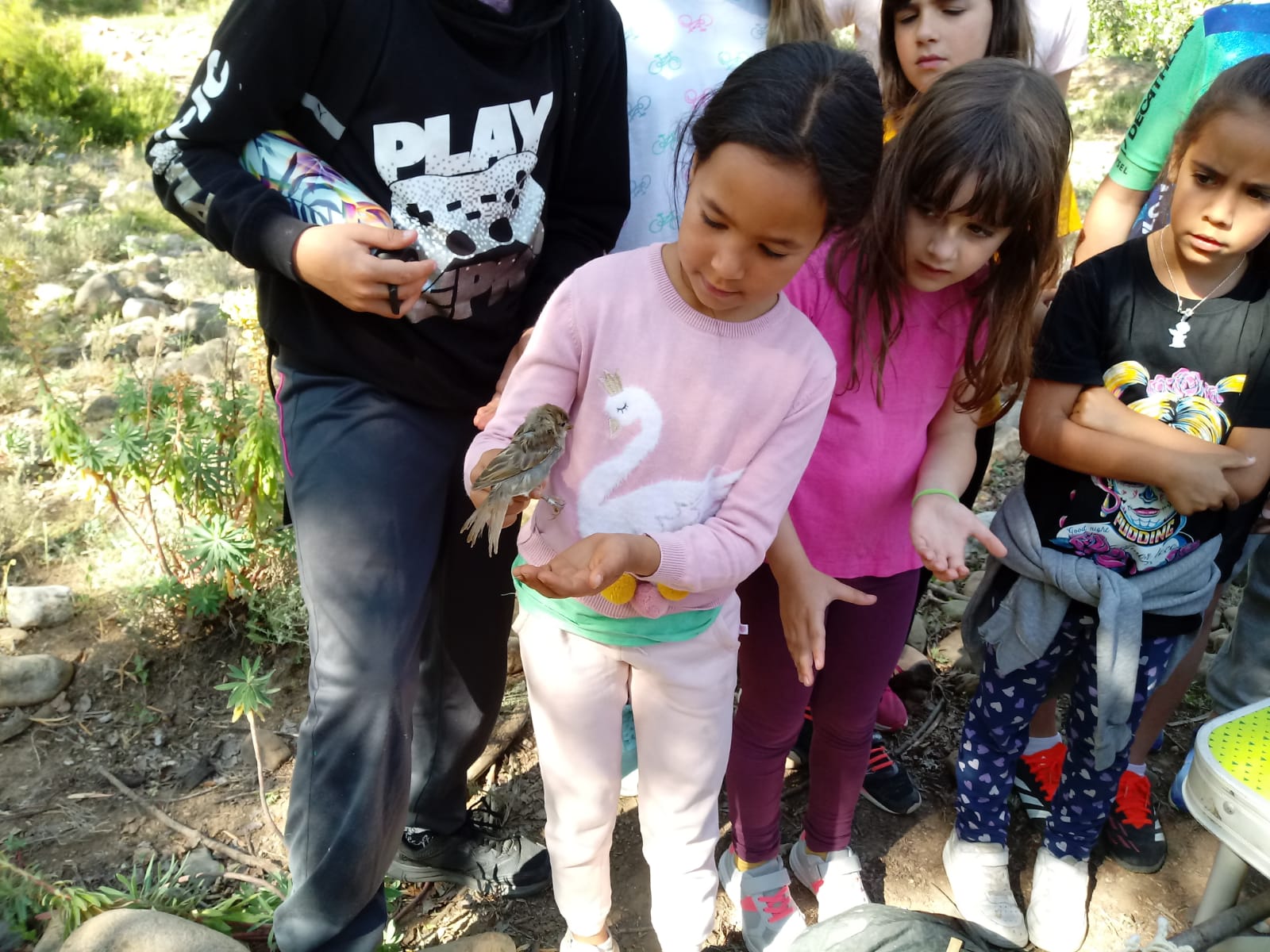 visita_ornitologo_7_20240619_1691303972.jpeg