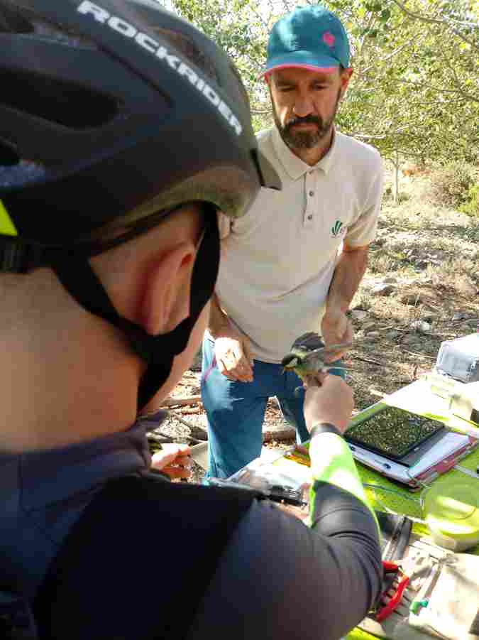 salida_bicis_y_pajaros_16_20230616_1622317696.jpg