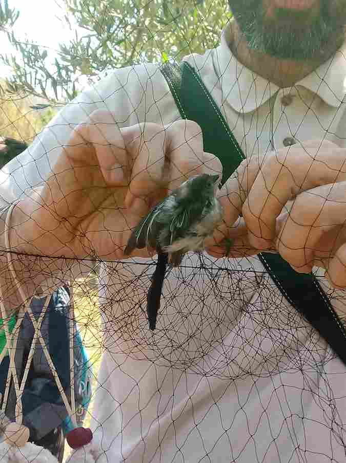 salida_bicis_y_pajaros_19_20230616_1684238497.jpg