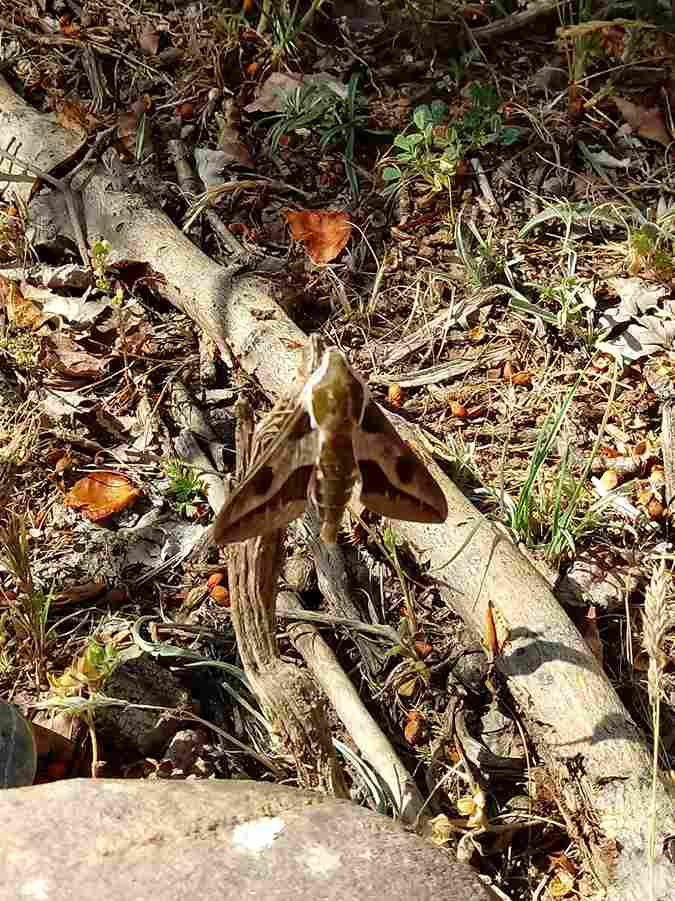 salida_bicis_y_pajaros_22_20230616_1231568824.jpg