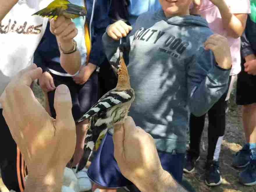 salida_bicis_y_pajaros_2_20230616_1294197171.jpg