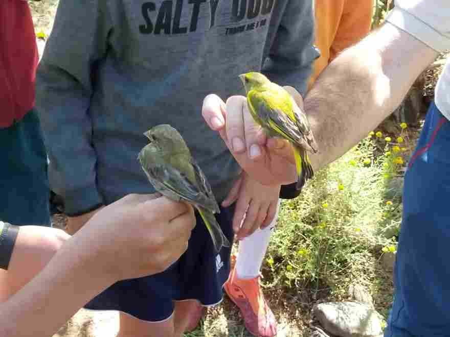 salida_bicis_y_pajaros_3_20230616_1485869540.jpg
