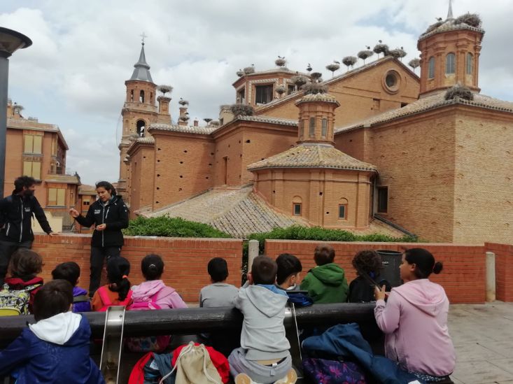 sotos_de_alfaro_4_20230526_2007679454.jpg