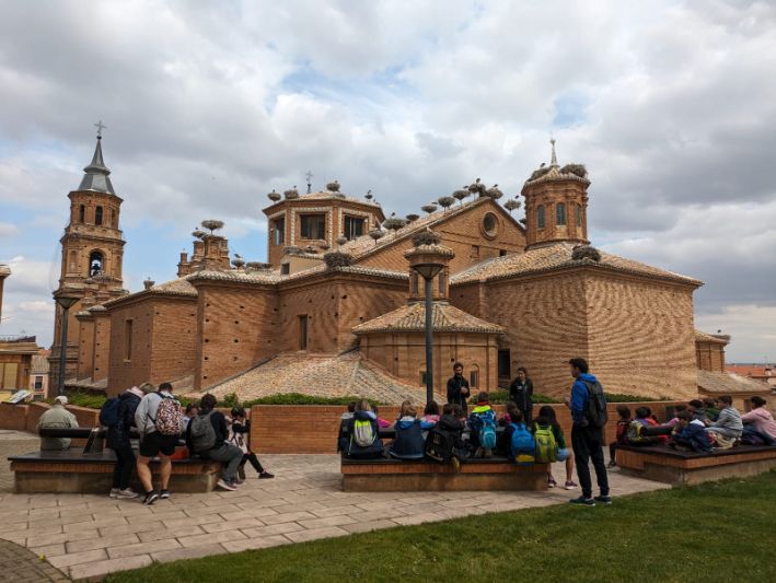 sotos_de_alfaro_9_20230526_1885342655.jpg