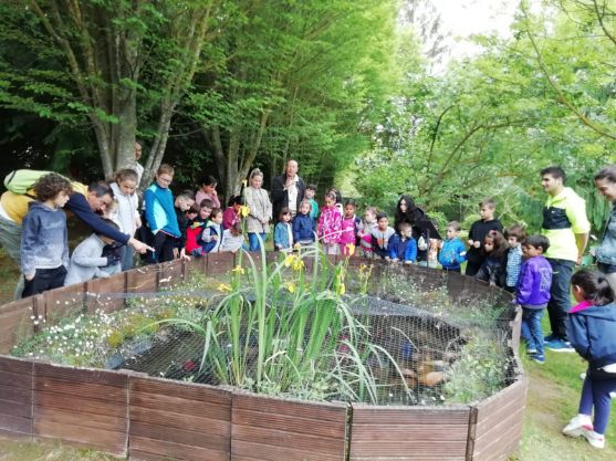 jardin_botanico_y_sala_negra_19_20230526_1289871020.jpg