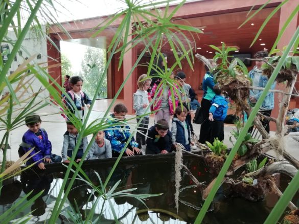 jardin_botanico_y_sala_negra_20_20230526_1206829093.jpg