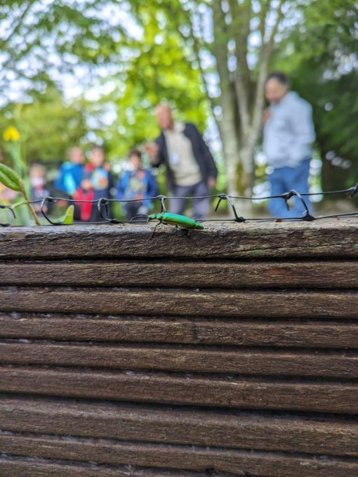 jardin_botanico_y_sala_negra_6_20230526_1235874292.jpg