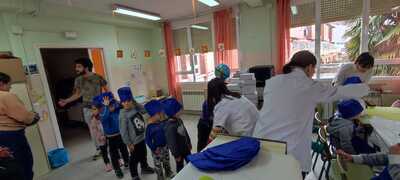 constitucion_2022_30_20221215_2073890968.jpg