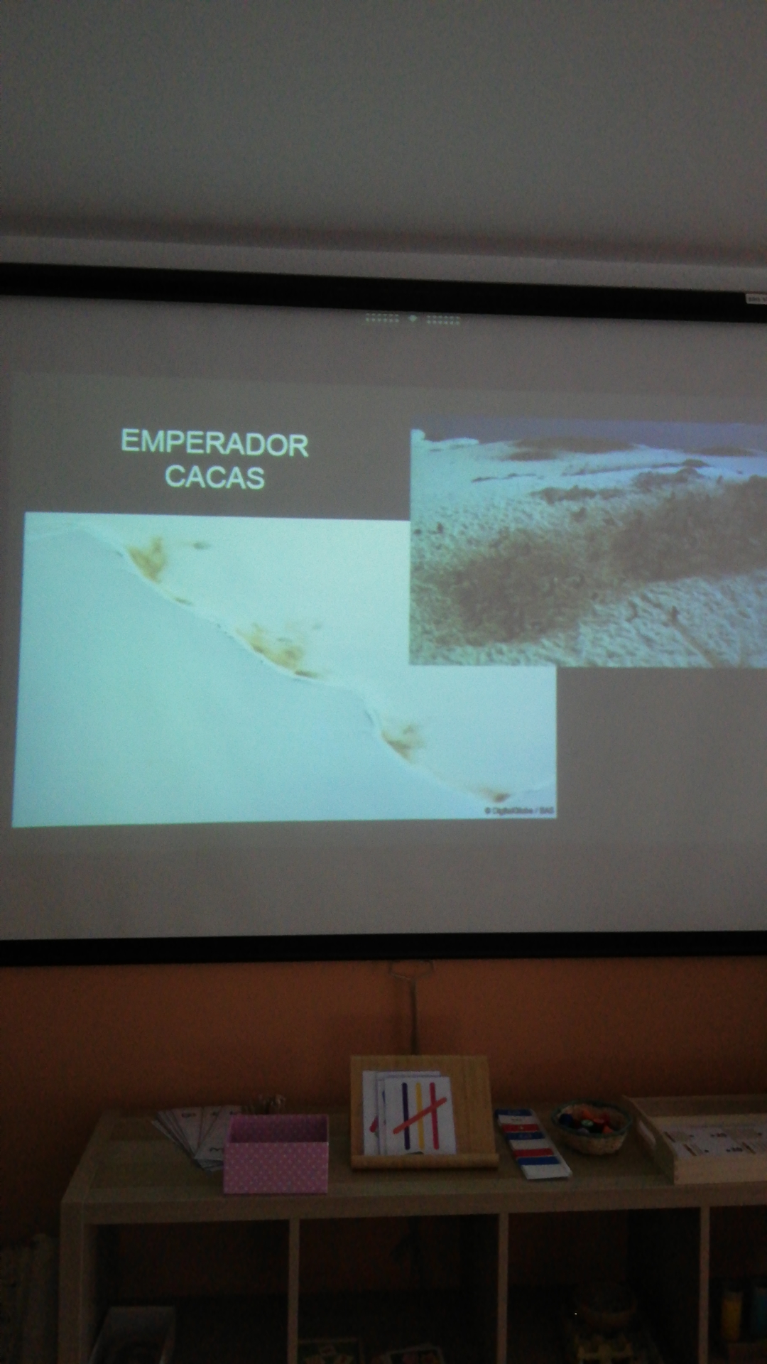 el_libro_de_los_pingueinos_se_va_de_ruta_1_20220401_1276179127.jpg