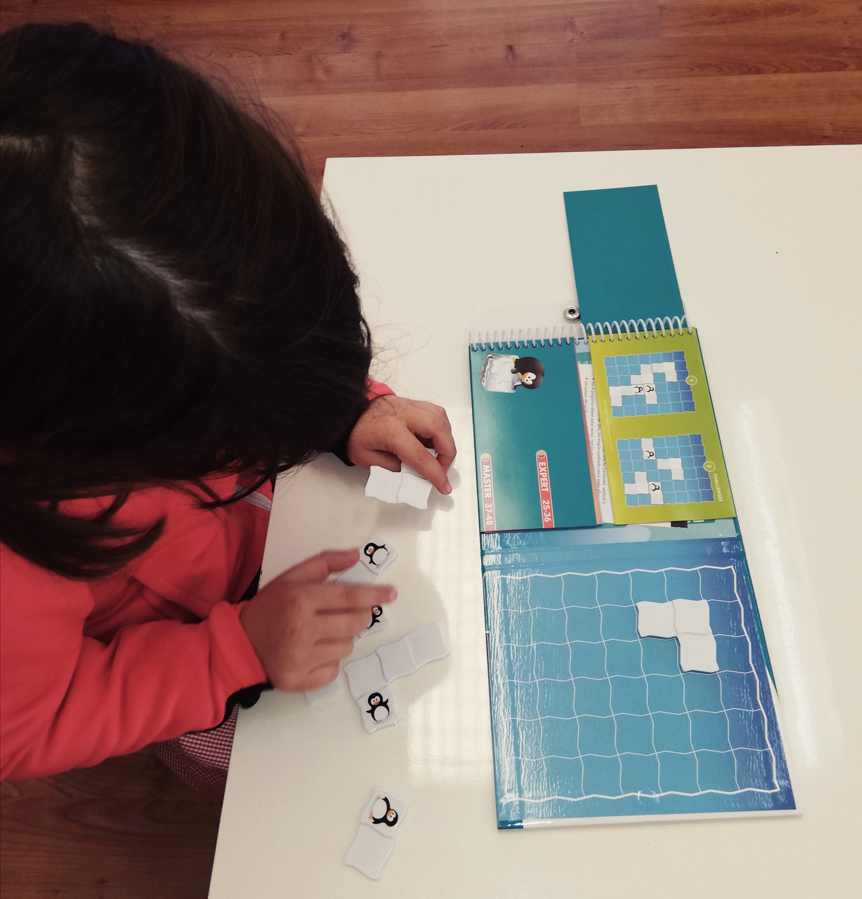 pingueinos_10_20220301_2046830511.jpg