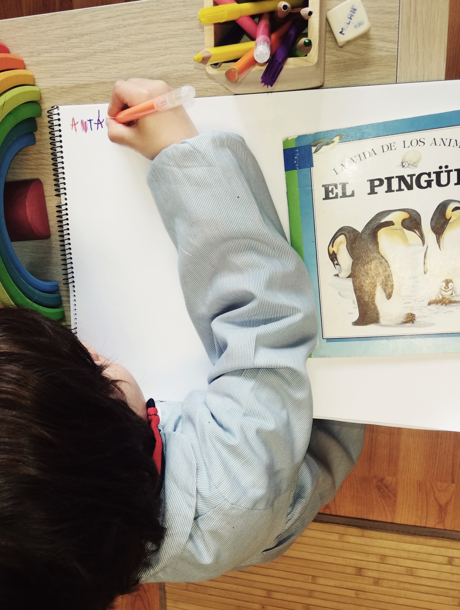 pingueinos_17_20220301_1846613068.jpg