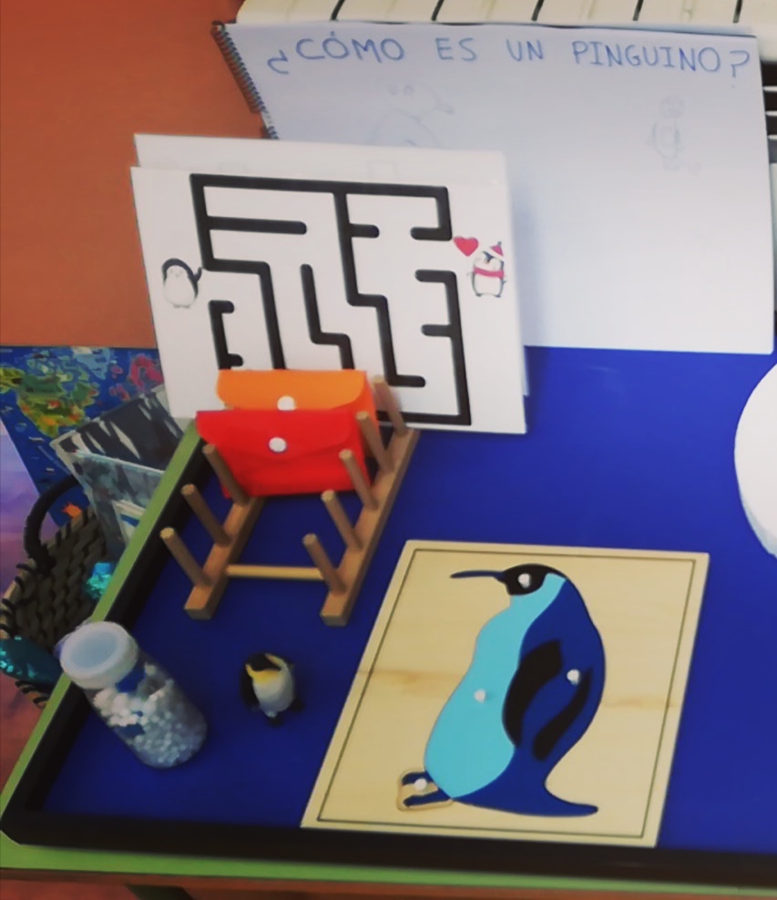 pingueinos_3_20220214_1370800945.jpg