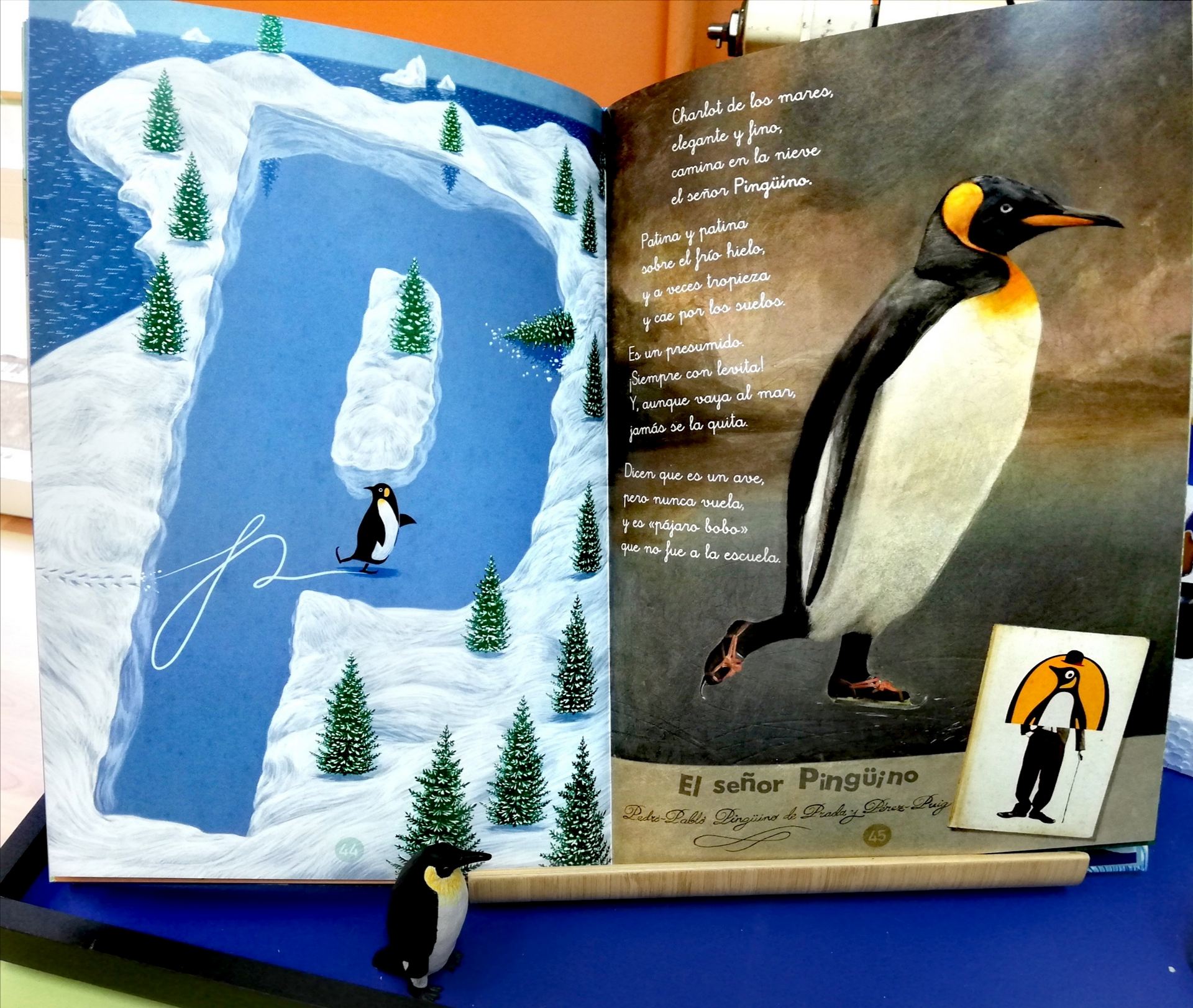 pingueinos_3_20220307_2003009683.jpg