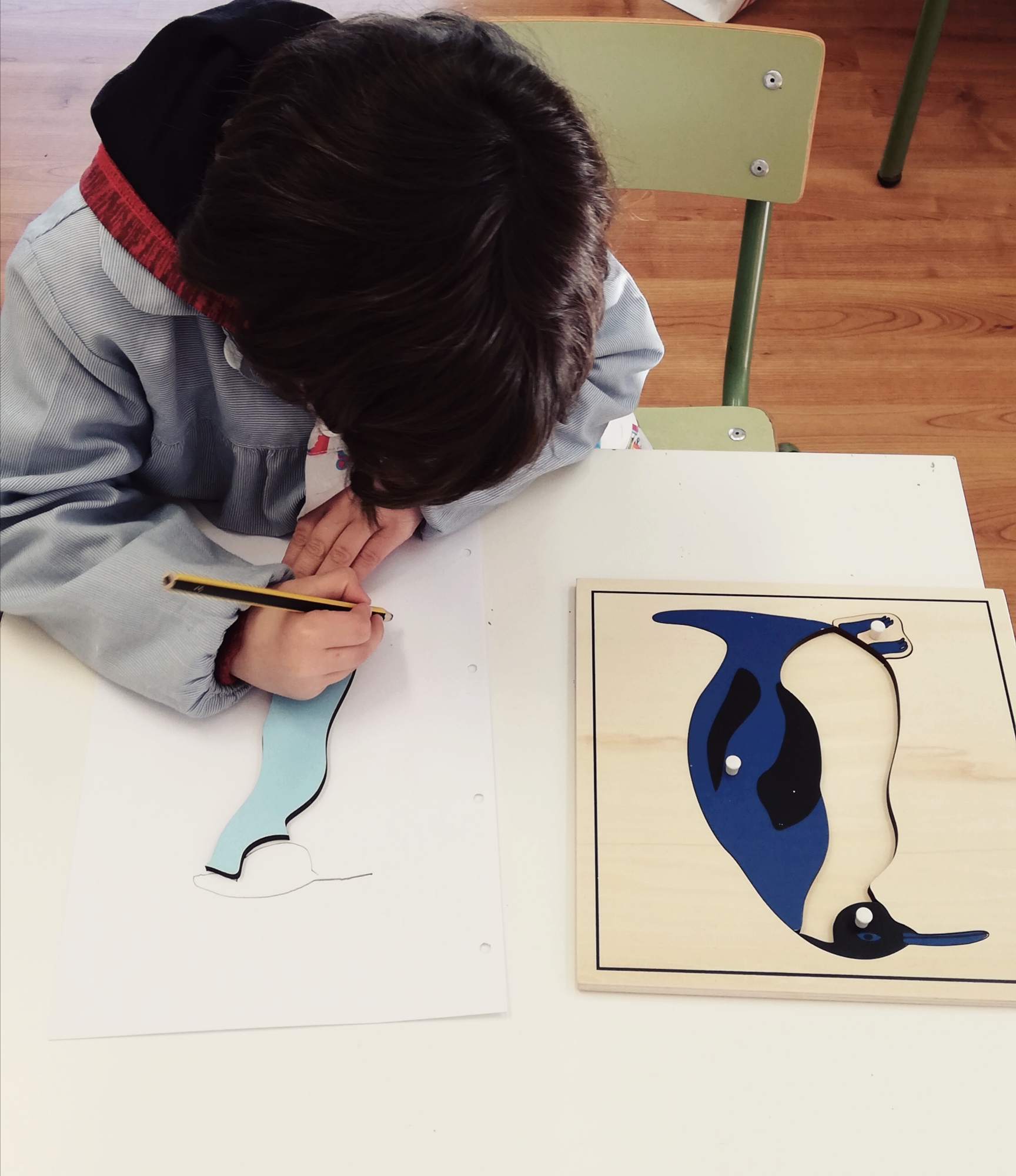 pingueinos_5_20220301_1278521485.jpg