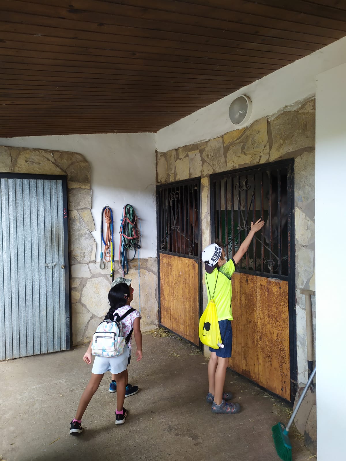 excursion_animales_11_20210623_1147701178.jpeg