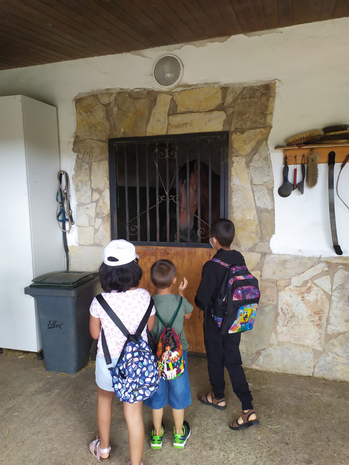 excursion_animales_12_20210623_1676266660.jpeg