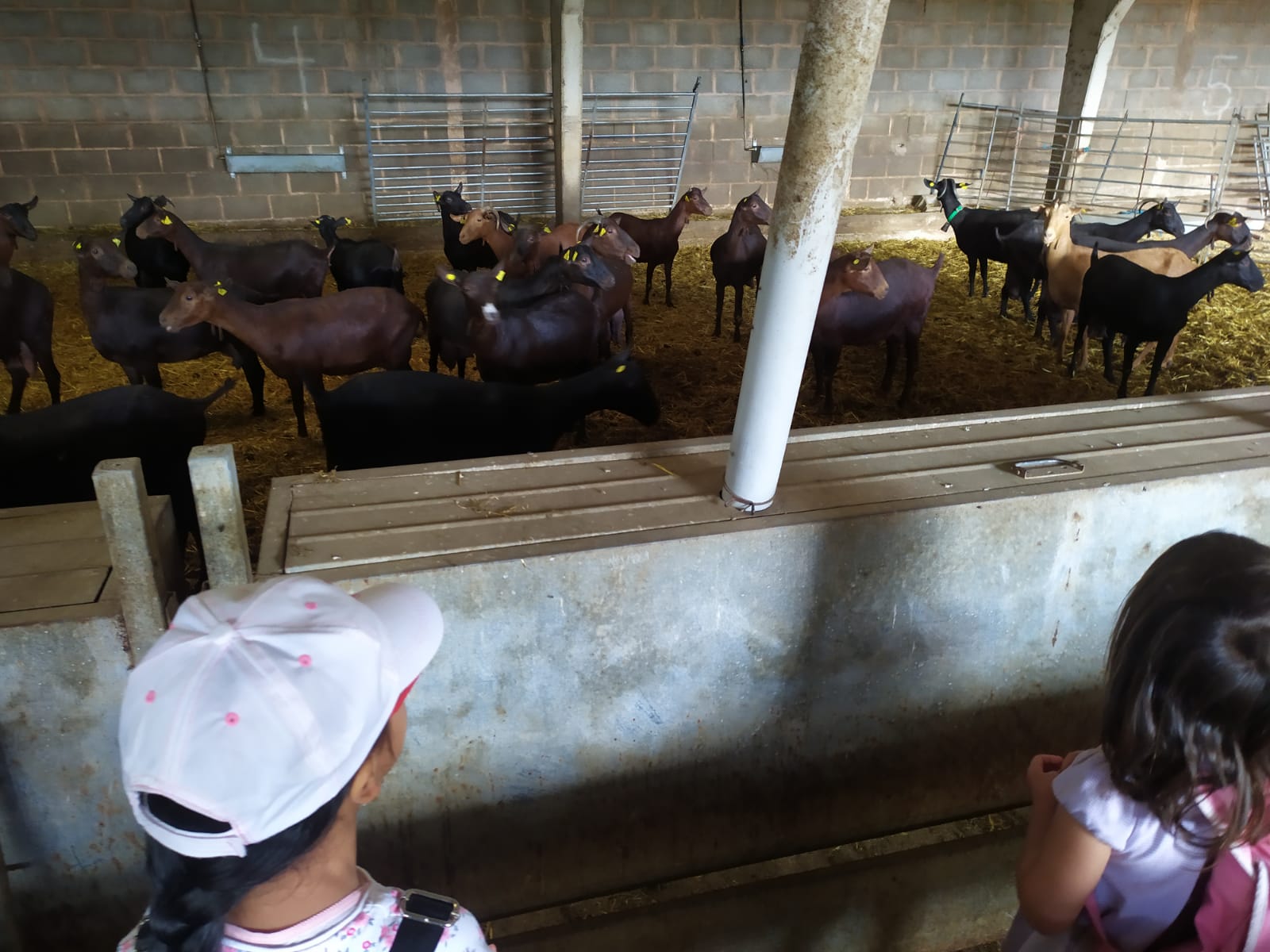 excursion_animales_14_20210623_1870317394.jpeg