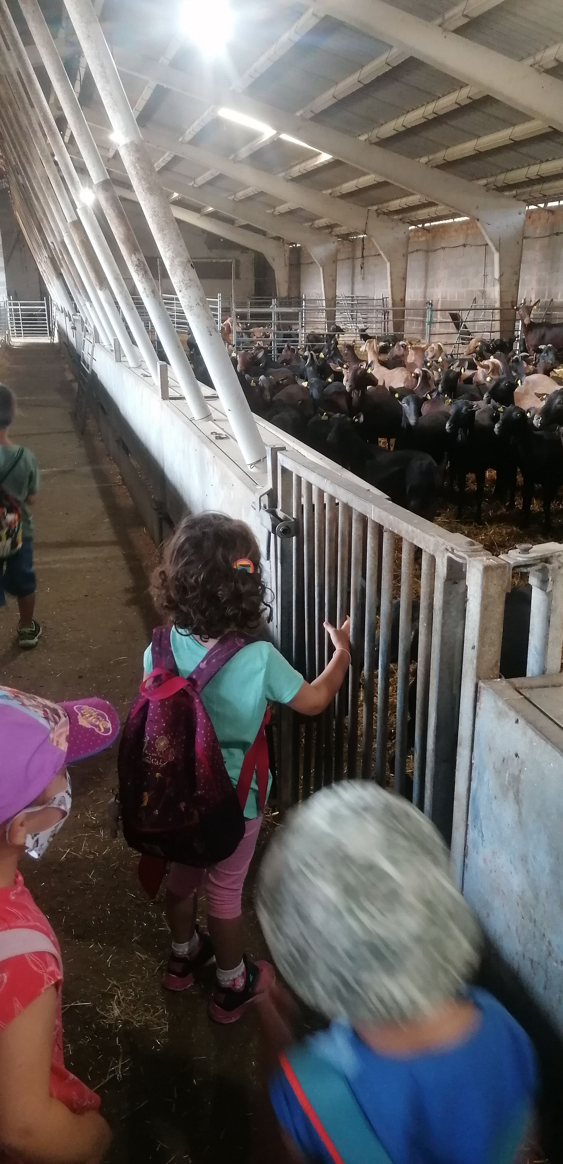 excursion_animales_17_20210623_1931916415.jpg