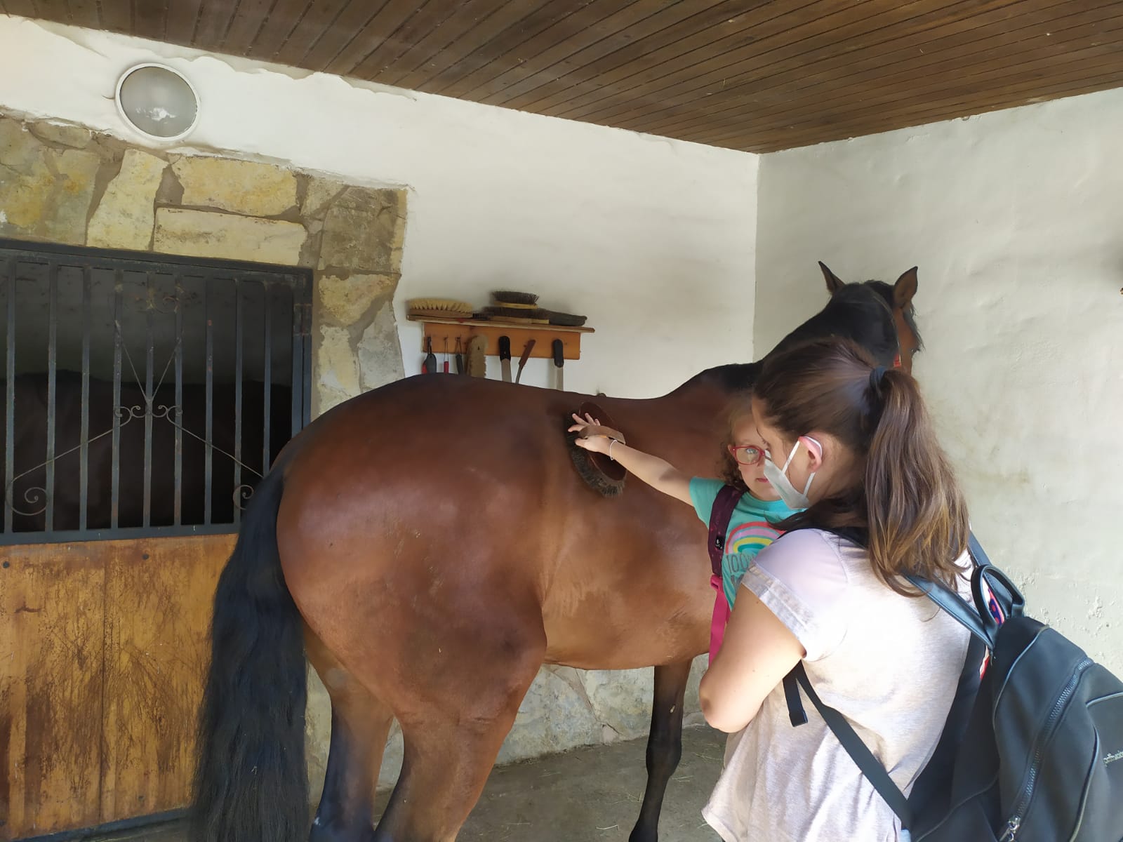 excursion_animales_1_20210623_1288342117.jpeg