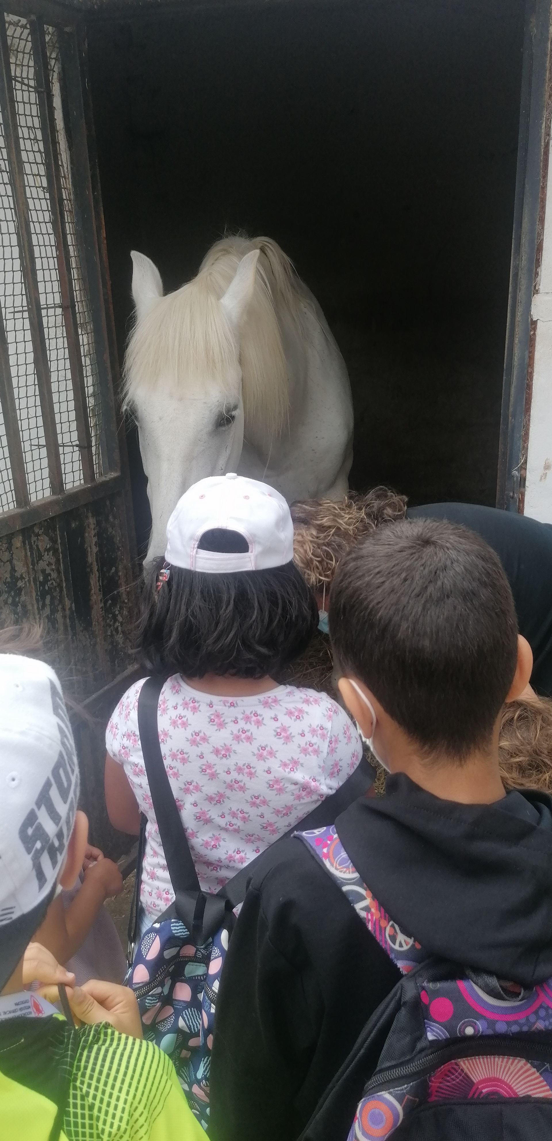 excursion_animales_20_20210623_1334465429.jpg