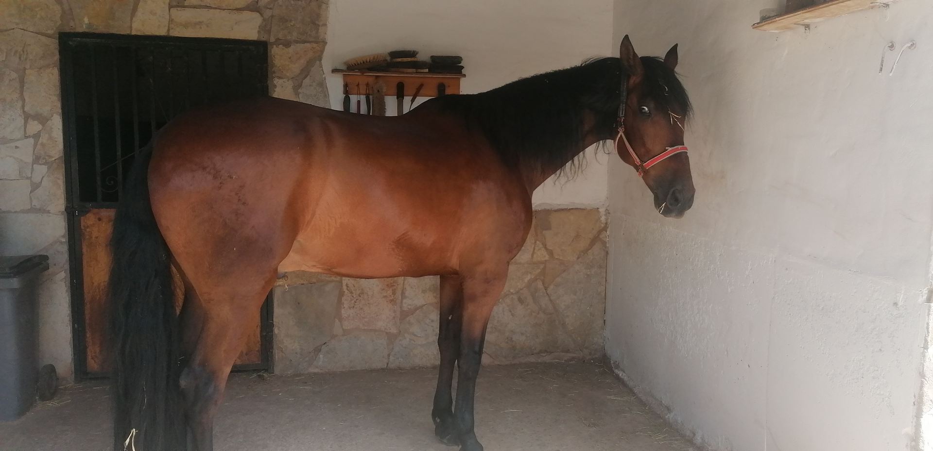 excursion_animales_21_20210623_1402493427.jpg