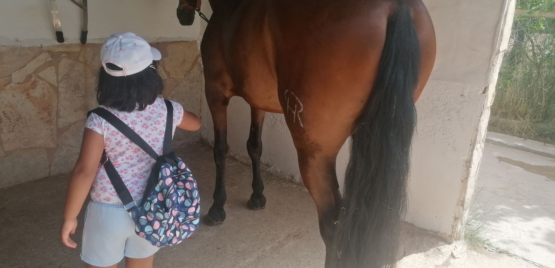 excursion_animales_23_20210623_1505914626.jpg