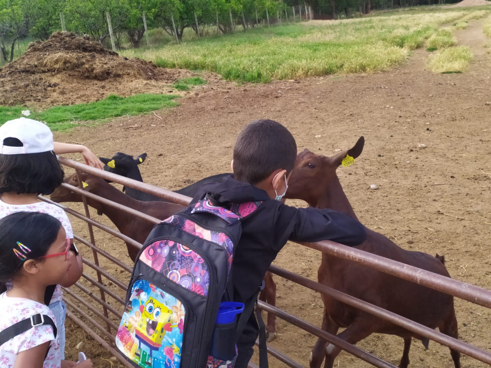 excursion_animales_36_20210623_1548234990.jpg