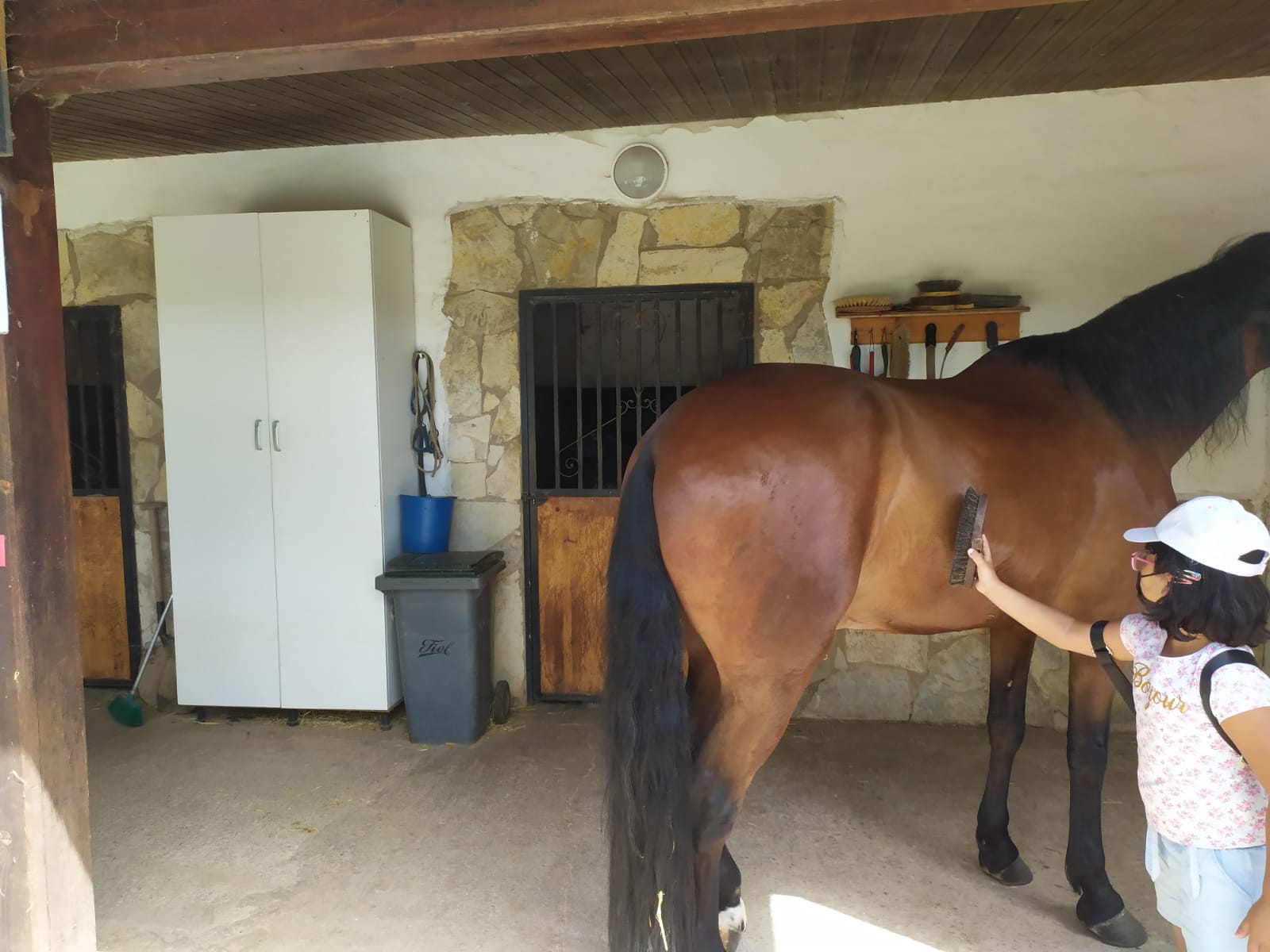 excursion_animales_3_20210623_1838471729.jpeg