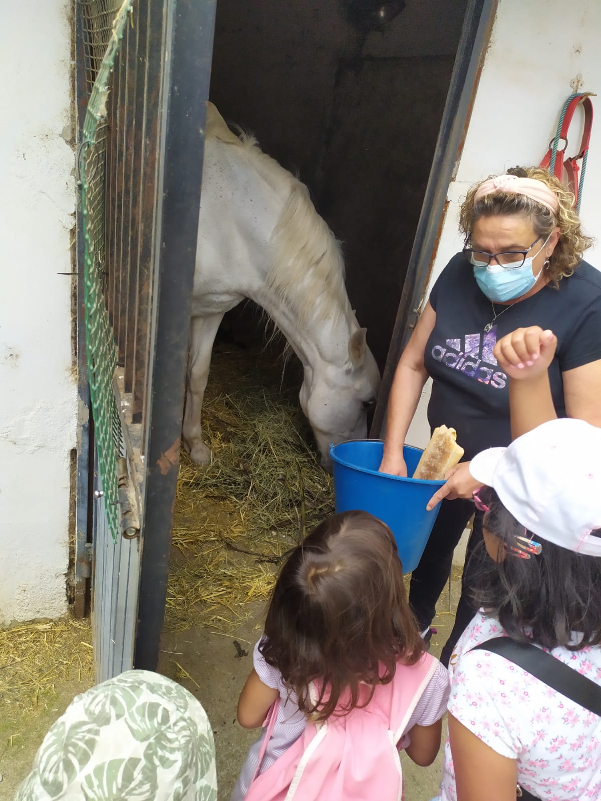 excursion_animales_6_20210623_1876972887.jpeg