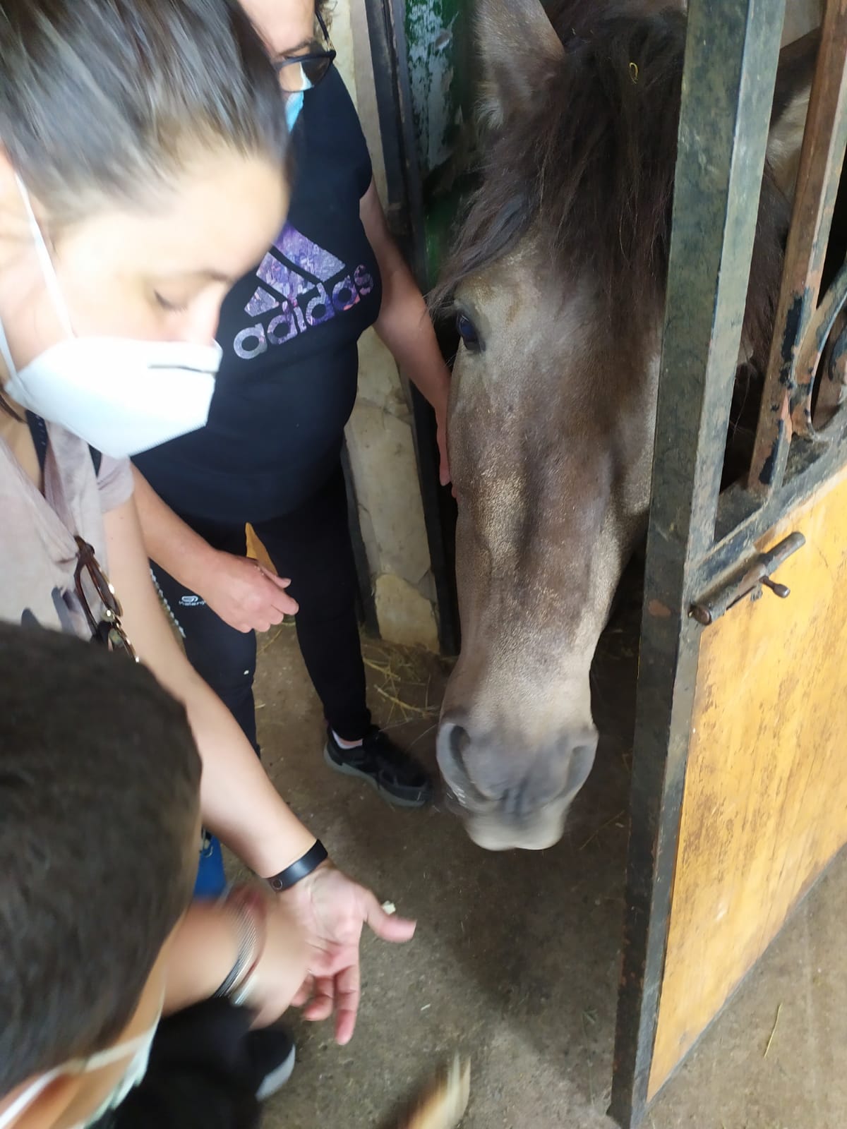 excursion_animales_9_20210623_1062365165.jpeg
