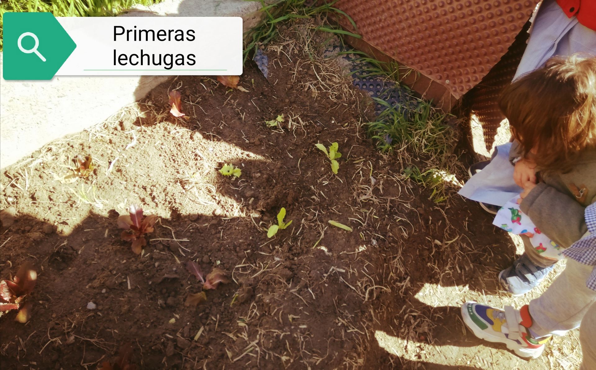 fina_del_segundo_trimestre_6_20210409_1202437662.jpg