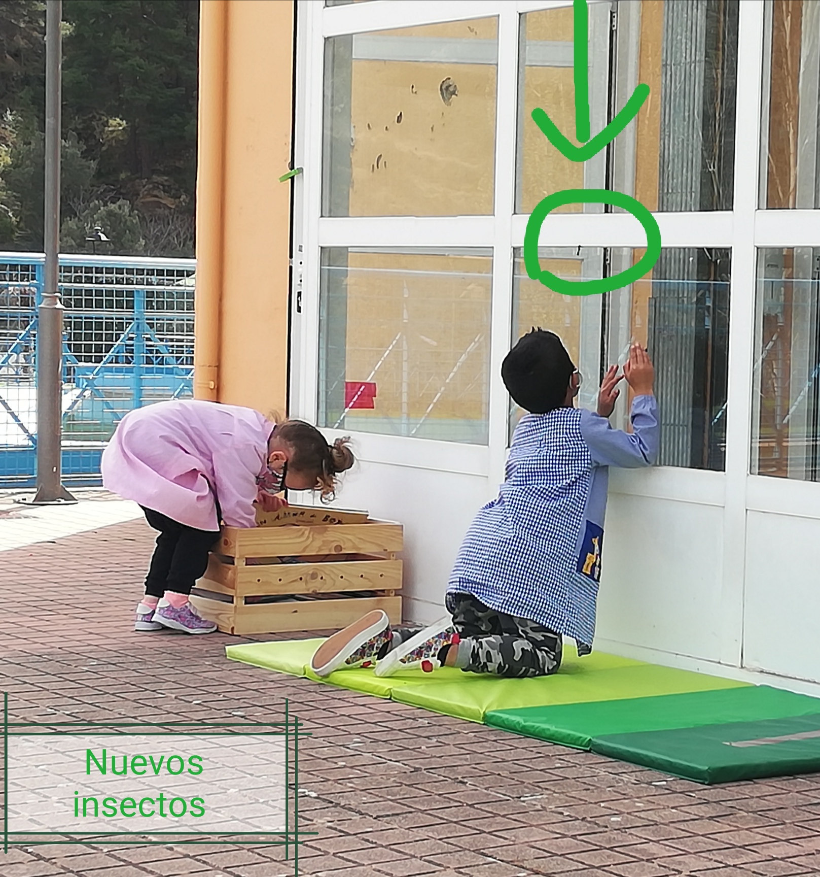 fina_del_segundo_trimestre_8_20210409_1458081010.jpg