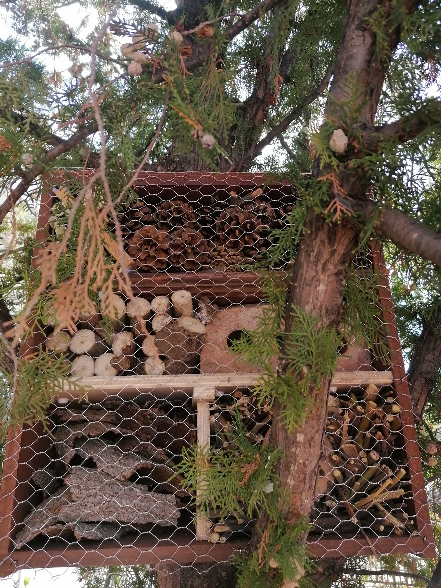 hotel_de_insectos_herce_3_20201116_1462498133.jpeg